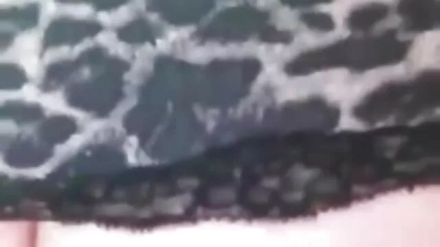 TINY4k hijastra Riley maduras solas calientes Reid usa regalo del día del padre